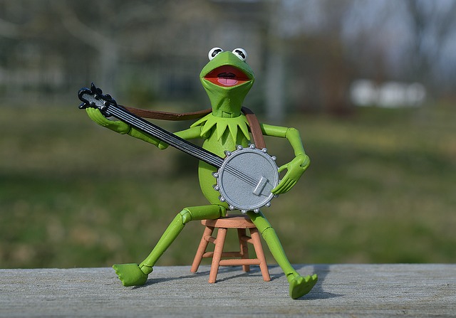 kermit singing and playing guitar