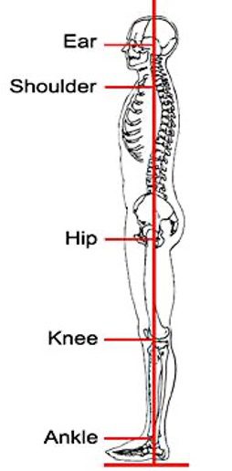 Body Alignment 2